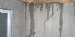 leak detection Water and Damp appearing where it shouldn't be !!
