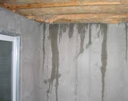 Water and Damp appearing where it shouldn't be !!