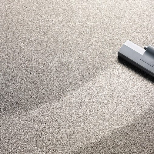 professional carpet cleaning