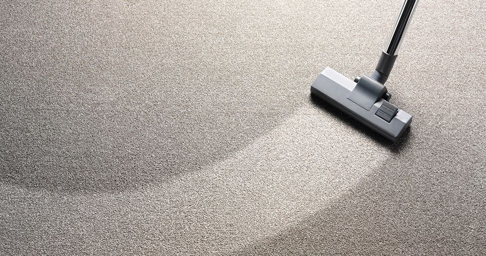 professional carpet cleaning